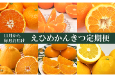 えひめかんきつ定期便（全６回）柑橘 紅まどんな 日の丸みかん 伊予柑 デコポン せとか 河内晩柑  | F01