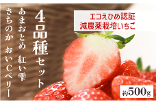 いちご 高級 ぜいたく いちご狩り気分４品種食べ比べセット 数量限定 農園直送 ギフト 愛媛 人気 伊予市 くぼなか農園｜B15