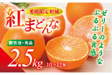 紅まどんな 贈答用 秀品（赤秀・青秀いずれか） 2.5kg JA正規品 化粧箱入り 愛媛 先行予約 数量限定 愛果28号 愛媛果試第28号 みかん 柑橘 人気 伊予市＜2024年11月下旬から順次発送＞｜D04