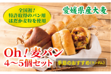 パン 無添加 老舗 4～5個セット ブレッド おまかせ ランダム 詰め合わせ ブランド認定 学校給食 朝食 朝ごはん 季節 おすすめ はだか麦 国産小麦 国産素材 おやつ こだわり 食物繊維豊富 安心 安全 篠崎ベーカリー 愛媛 伊予市 ｜B66
