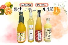 リキュール 果実系 飲み比べ 4本セット 梅酒 ゆず みかん レモン 河内晩柑 伊予柑 アルコール お酒 愛媛県｜C26