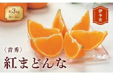 みかん 愛媛 紅まどんな 約3kg  L～3L（青秀）【2025年12月から順次発送予定】 人気 数量限定 先行予約 柑橘 JA正規品 化粧箱入り 国産 フルーツ 果物 フルーツギフト 贈答用 伊予市｜C27