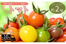 ミニトマト 約2kg カラートマト 10袋 食べくらべ 農園直送 完熟 愛媛 人気 伊予市｜B81