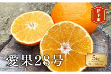みかん 愛媛 愛果28号 5kg ご家庭用 2L〜4L 大玉 人気 数量限定 先行予約 柑橘 伊予市 【2025年11月下旬から順次発送予定】｜B83