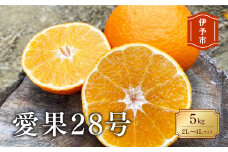 みかん 愛媛 愛果28号 5kg ご家庭用 2L〜4L 大玉 人気 数量限定 先行予約 柑橘 伊予市 【2025年11月下旬から順次発送予定】｜B83