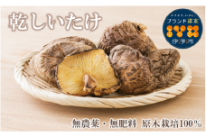 乾しいたけ 出汁 出汁文化のまち伊予の乾しいたけ 約180g 和食 本格出汁 干し椎茸 原木栽培 うま味 正月 年越し 迎春 お年賀 年末 年始 伊予市｜B85