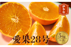みかん 愛媛 愛果28号 5kg 贈答用 L〜2L キャップ付き 人気 数量限定 先行予約 柑橘 伊予市 【2025年12月から順次発送予定】｜B84