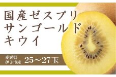 キウイ 愛媛 サンゴールドキウイ 25~27玉入り 数量限定 伊予市｜B90