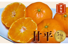 みかん 愛媛 甘平（5kg）サイズM～5L 人気 数量限定 先行予約 柑橘 伊予市 【2026年1月下旬から順次発送予定】｜B104