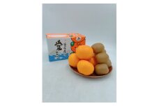 みかん 愛媛 せとかとグリーンキウイのセット 人気 数量限定 柑橘 伊予市｜B107