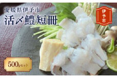 【期間限定】活〆鱧（ハモ）短冊500ｇセット 冷蔵 船上活締め 鱧ちり鍋 北風鮮魚 愛媛県 伊予市|B101