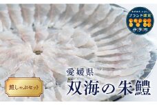鱧 冷凍 鱧しゃぶセット 鍋 3～4人前 天然鱧 朱鱧 ブランド認定品 うす造り しゃぶしゃぶ 魚介 海鮮 産地直送 スライス 海産物 伊予市 愛媛県産 国産 | B102
