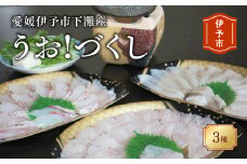 刺身 冷凍 鱧 鯛 イカ うお!づくし三種 鍋 しゃぶしゃぶ 天然 海鮮 魚介 産地直送 伊予市 愛媛県産 国産 下灘 |B103