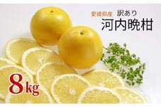 訳あり 河内晩柑 8kg ご家庭用 人気 【2026年4月以降順次発送】かわちばんかん 数量限定 先行予約  さっぱりした甘味 みかん 柑橘 蜜柑 くだもの フルーツ 国産 愛媛 伊予市｜B150
