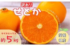 訳あり せとか 5kg ご家庭用 みかん 人気 数量限定 先行予約 愛媛 柑橘 【2026年2月中旬以降順次発送】｜B146