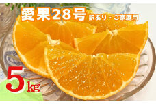 訳あり 愛果28号 5kg ご家庭用 みかん 愛媛 人気 数量限定 先行予約 柑橘 【2025年11月下旬発送】｜B148
