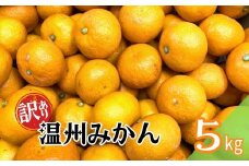訳あり 温州みかん 5kg ご家庭用 人気 数量限定 先行予約 愛媛 みかん 柑橘 【2025年11月上旬以降発送】｜B149