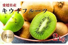 キウイフルーツ 2kg 秀品 【糖度14度～16度】 人気 数量限定 キウイ 愛媛  【2025年11月中旬以降発送】| B152
