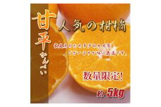 訳あり 甘平 5kg ご家庭用 人気 数量限定 先行予約 みかん 愛媛 柑橘 【2026年1月下旬以降順次発送】 | B151