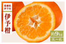 みかん 愛媛 伊予柑 3L～4Lサイズ（約9kg） 人気 数量限定 柑橘 伊予市｜B160