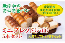 食パン 無添加 5本 六山 篠崎ベーカリー ミニサイズ 伊予市 老舗 ミニブレッド | B166