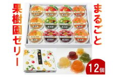 ゼリー ギフト 詰め合わせ 12個 お中元 愛媛県 みかん キウイ 伊予柑 青森産 りんご 山形産 さくらんぼ フルーツゼリー 果物 果汁 果実 フルーツ おやつ デザート 夏ギフト お取り寄せ なめらか 口溶け 子供 大人 国産 食品 送料無料 | B156