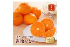 みかん 愛媛 せとか（露地）赤秀・青秀いずれか 約5kg Ｌ～3Ｌ 人気 数量限定 柑橘 伊予市｜C44