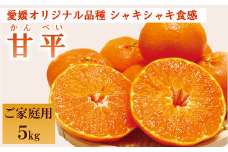 みかん 愛媛 甘平（約5kg）家庭用 L～３Lサイズ 人気 数量限定 先行予約 柑橘 伊予市｜C51