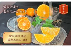 愛果28号と温州みかんのセット 小玉マルチ 年内配送 人気 数量限定 みかん 愛媛 柑橘 伊予市 【2025年12月上旬から順次発送予定】｜B163