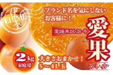 訳あり 愛果28号 約2kg ご家庭用 みかん 愛媛 人気 サイズミックス 柑橘 伊予市【2025年12月上旬順次発送】｜B172