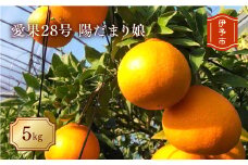 愛果28号 5kg 農薬不使用 肥料不使用 農園直送 Mサイズ 陽だまり娘 みかん 愛媛 人気 数量限定 先行予約 柑橘 伊予市｜C52