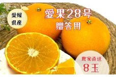 【2024年1月配送】愛果28号 2.5kg 農園直送 贈答用 みかん 愛媛 人気 数量限定 先行予約 柑橘 伊予市｜B207