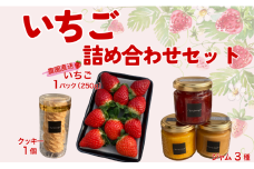 イチゴジャム 無添加 いちご くぼなか農園  手作り ミルクジャム 柑橘 マーマレード いちごのロシアンクッキー ギフト 数量限定 農園直送 愛媛 伊予市｜B198