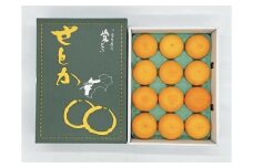 せとか 2.5kg ご家庭用 みかん 愛媛 数量限定 愛媛県産 人気 柑橘 伊予市｜B216