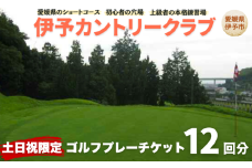 ゴルフ場 利用券 土日祝日限定 ゴルフプレーチケット 12回分 周り放題 伊予カントリークラブ 愛媛 伊予市｜F20