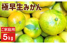 極早生みかん 5kg ご家庭用 日南1号 農園直送 先行予約 【9月中旬以降順次発送】 愛媛 数量限定 愛媛県産 人気 柑橘 伊予市 | B226