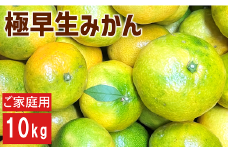 極早生みかん 10kg ご家庭用 日南1号 農園直送 先行予約 【9月中旬以降順次発送】 愛媛 数量限定 愛媛県産 人気 柑橘 伊予市 | B227