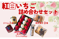 イチゴジャム 無添加 紅白いちご くぼなか農園 ミルクジャム おまかせ焼き菓子 ギフト 数量限定 農園直送 愛媛 人気 伊予市｜B208