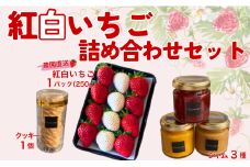 イチゴジャム 無添加 紅白いちご ミルクジャム 柑橘 マーマレード ロシアンクッキー くぼなか農園 数量限定 農園直送 愛媛 人気 伊予市｜B209