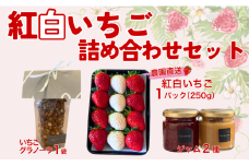 イチゴジャム 無添加 紅白いちご ミルクジャム グラノーラ 数量限定 農園直送 くぼなか農園 愛媛 人気 伊予市｜B210