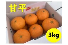 甘平 3kg 愛媛 みかん 愛媛県産 伊予市 | B242