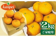 訳あり 甘平 家庭用 みかん 愛媛 約2kg 人気 サイズミックス 柑橘 伊予市｜B234