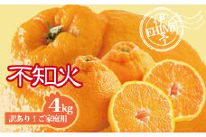 不知火 訳あり しらぬい 約4kg ご家庭用 みかん 愛媛 人気 サイズミックス 柑橘 伊予市｜B236