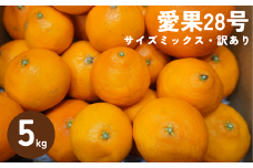訳あり 愛果28号 5kg サイズミックス 【2025年12月以降発送】みかん 愛媛 数量限定 先行予約 柑橘 伊予市｜B220