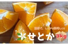 せとか 3kg ご家庭用 みかん 愛媛 先行予約 【2026年2月上旬から順次発送】 数量限定 愛媛県産 人気 柑橘 伊予市｜B244