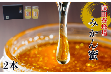 はちみつ みかん蜜 2本 柑橘 みかん 純粋はちみつ 愛媛県産 藤田養蜂場 伊予市｜B250