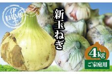 新玉ねぎ 約4kg 4月発送 春の味わい 愛媛 伊予市｜B237