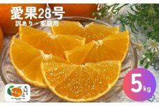 愛果28号 5kg ご家庭用 訳あり レッスルファーム みかん 愛媛【2025年12月中旬順次発送】先行予約 数量限定 おすすめ 美味しい おいしい グルメ フルーツ くだもの 愛媛県産 人気 柑橘 伊予市｜B251