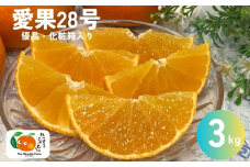 愛果28号 3kg 優品 レッスルファーム みかん 愛媛【2025年12月中旬以降順次発送】先行予約 数量限定 お取り寄せ おすすめ 美味しい おいしい グルメ フルーツ くだもの 愛媛県産 人気 柑橘 伊予市｜B252