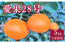 愛果28号 5kg ご家庭用 農園直送 先行予約 【12月中旬から順次発送予定】 愛媛 数量限定 愛媛県産 人気 柑橘 伊予市 | B256